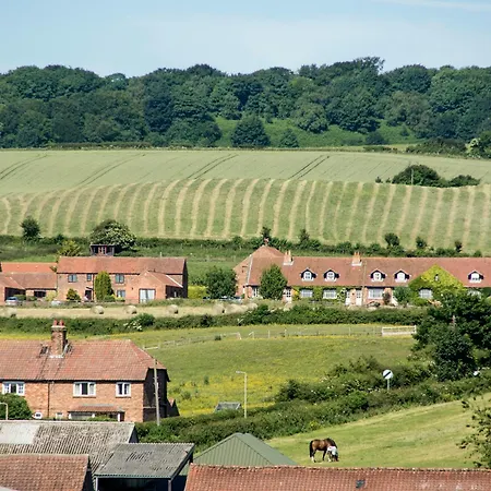 Lavender - E1495 Scalby (North Yorkshire)