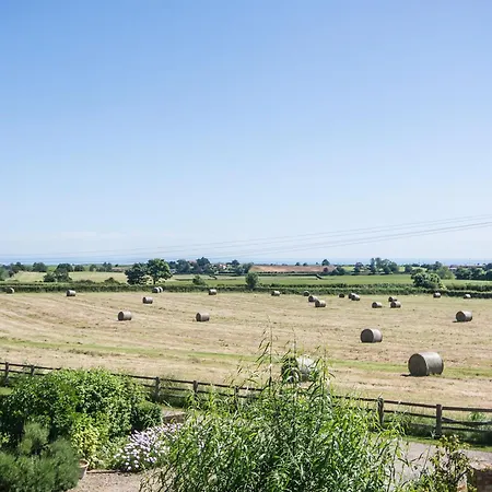 Lavender - E1495 Scalby (North Yorkshire)