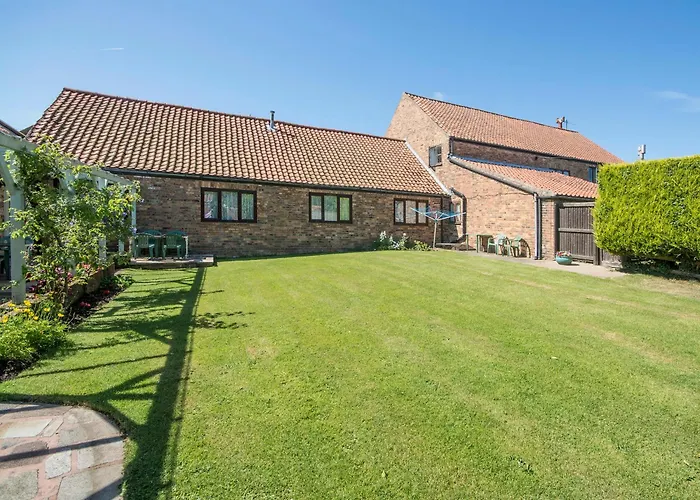 Lavender - E1495 * Scalby (North Yorkshire)