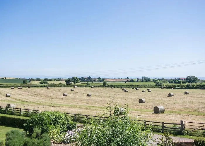 Lavender - E1495 Scalby (North Yorkshire)